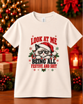 Grumpy Christmas Cat