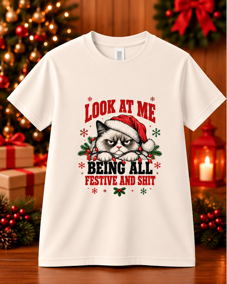 Grumpy Christmas Cat