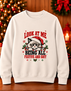 Grumpy Christmas Cat